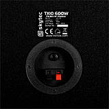 Пара TX10 з 25-сантиметрових (10 дюймів) пасивних гучномовців потужністю 150 Вт RMS (Німеччина, читати, фото 4