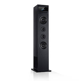 Karaboom 100 Wifi Tower Speaker інтернет-радіо DAB+ BT 120W чорний Чорний (Німеччина, читати опис)