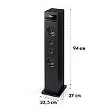 Karaboom 100 Wifi Tower Speaker інтернет-радіо DAB+ BT 120W чорний Чорний (Німеччина, читати опис), фото 9