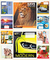 Зошит учнівський на 18 аркушів у клітинку Тетрада  ТВЕРДА  офсетка., кольор.обкл. 20  шт ш.к.4820049490046