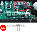 Регулятор температури та вологості ZFX-W9002 з виносним датчиком для акваріума 12 В, фото 5