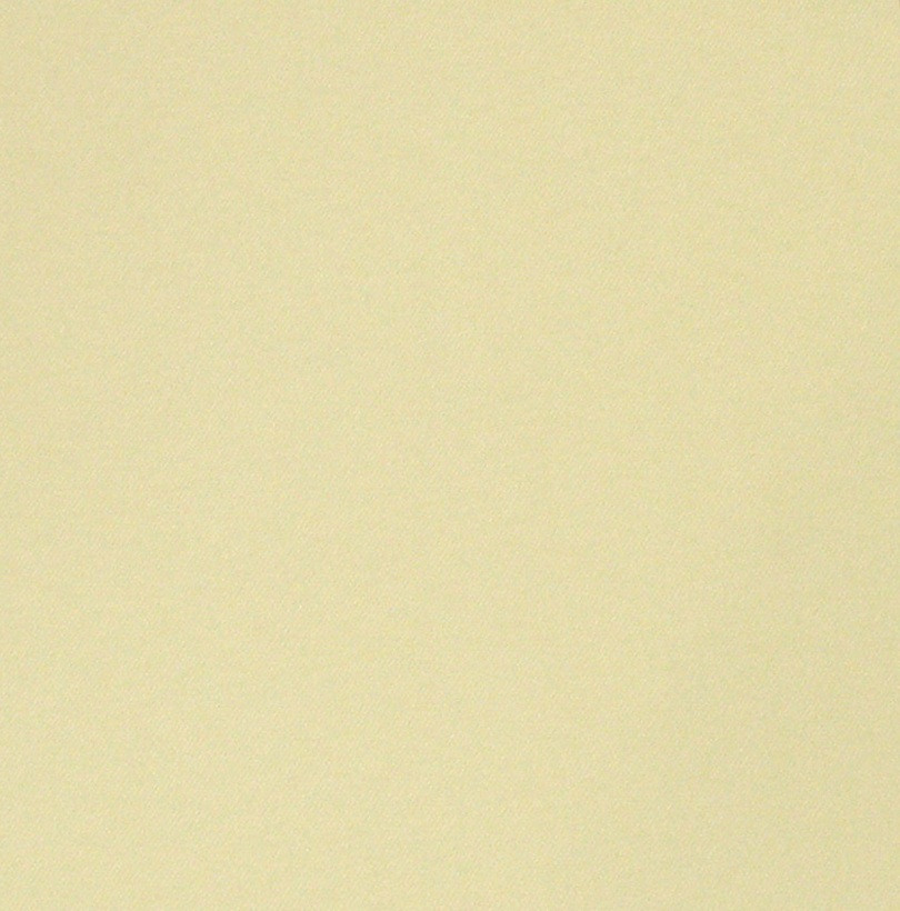 Рулонні штори BERLIN 0700, Польща, фото 1