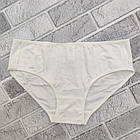 Труси сліпи жіночі бавовна Тріумф розмір 2XL "ТРІО" молочні 30025079, фото 4