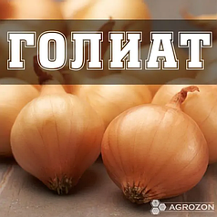 Цибуля Болеро (Голіат, Стурон) Broer - 20 кг