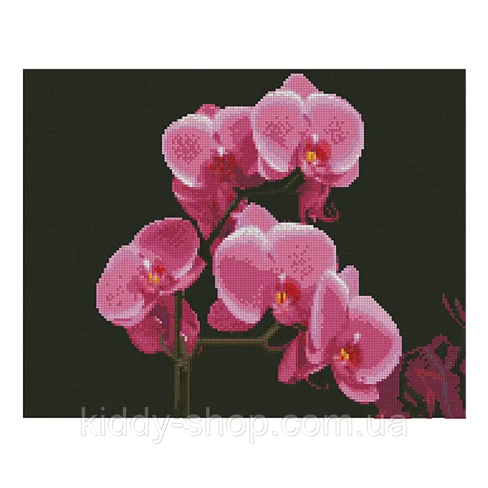 Алмазна вишивка. Картина на підрамнику Рожеві орхідеї, розмір 40х50 см