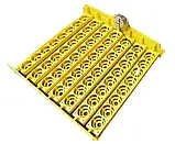 Інкубатор автоматичний HHD 56(220/12V), фото 3