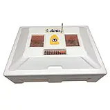 Брудер Теплуша ( Ясла ) для курчат, бройлерів, перепілок місткість до 100 голів, фото 2