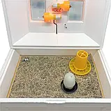 Брудер Теплуша ( Ясла ) для курчат, бройлерів, перепілок місткість до 100 голів, фото 3