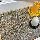 Брудер Теплуша ( Ясла ) для курчат, бройлерів, перепілок місткість до 100 голів, фото 5