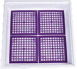 Інкубатор ручний Наседка 120, фото 3