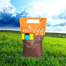 Насіння соняшнику HIPERSOL CL+OR6 (ГІПЕРСОЛ CL+OR6), Mirasol Seed ( під Євролайтінг), фото 1
