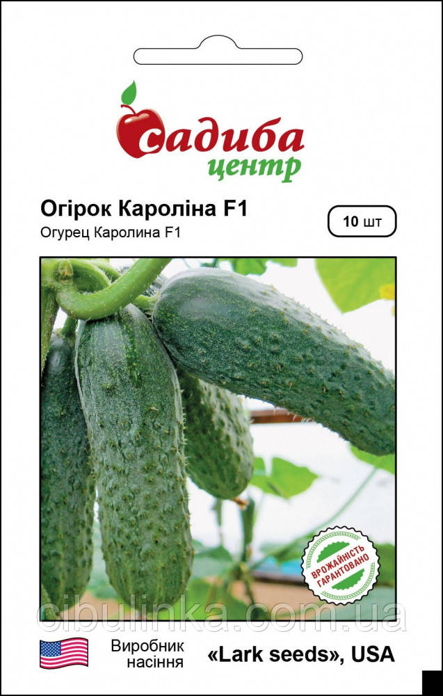 Огірок Кароліна F1 10 шт Садиба центр, фото 1