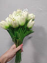 Тюльпан штучний 1шт. Колір Біло-зелений градієнт, фото 4