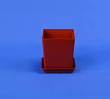 Горщик для кактуса з підставкою 400 мл (коричневий), фото 2