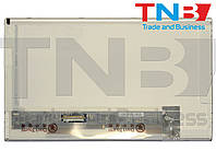 Матрица M101NWT2 R1 для ноутбука