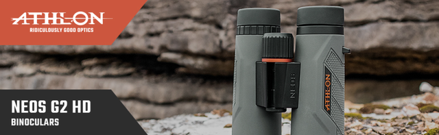 Vanguard Endeavor ED IV