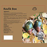 Ravlik Box Здоров’я для равликів, фото 3