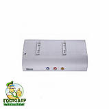 Willer Spring EH80R водонагрівач горизонтальний, фото 2