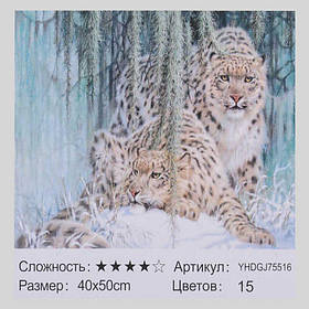 2 в 1 Картина за номерами та алмазна мозаїка