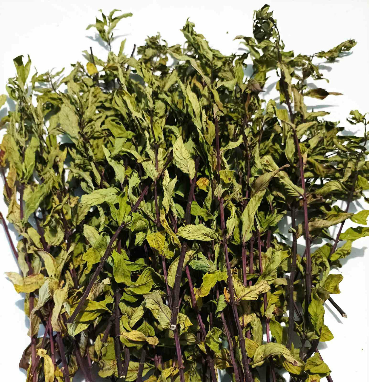 М'ята  сушена,100 г, фото 1