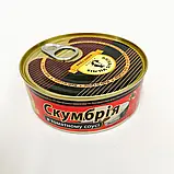 Скумбрія в томатном соусі 240 гр. Brivais Vilnis (Брівайс Вілніс), фото 3
