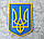 Герб України (Тризуб) на стіну кольоровий 38*27 см Гранд Презент 26, фото 5