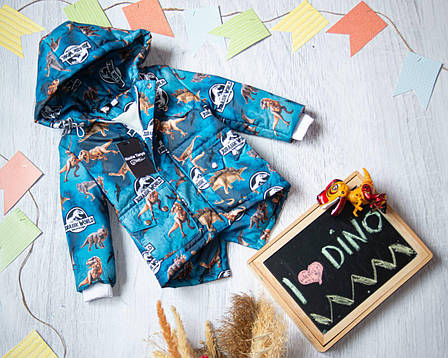 Демисезонная детская парка с капюшоном ( размеры 86, 92, 98, 104, 110, 116, 122, 128, 134 ), фото 1