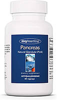 Allergy Research Pancreas Pork / Поджелудочная железа (Свинина) 60 капсул