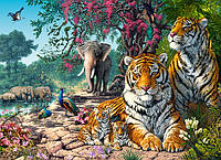 Пазлы Castorland Заповедник с тиграми на 300 элементов