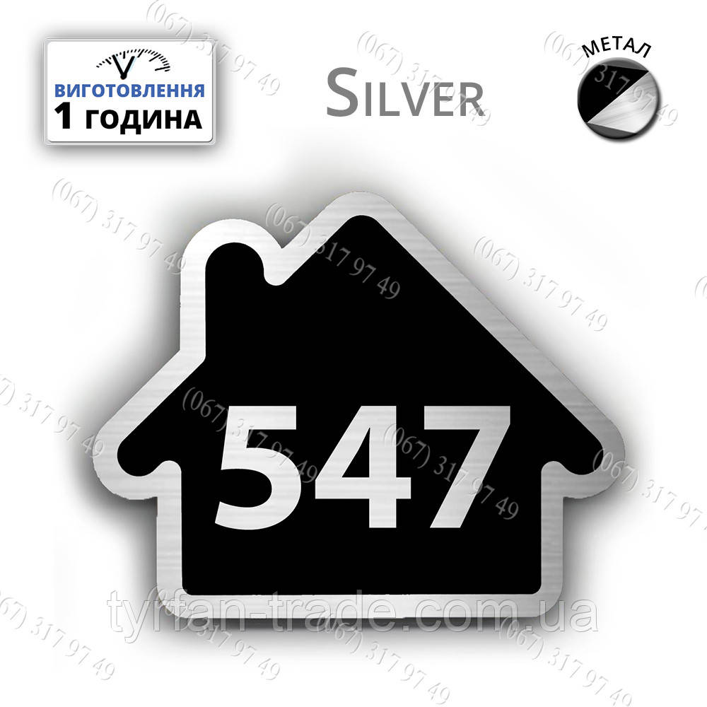 nomerok_silver_005.jpg