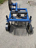 Картоплекопалка грохотная для мотоблока ремінна. Копачка мотоблочна, фото 8