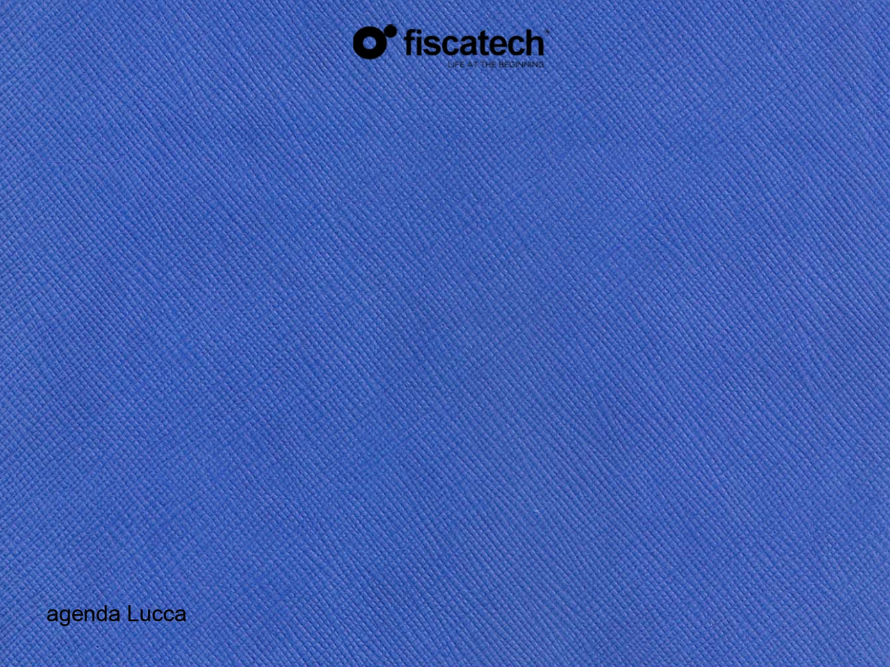 Шкірзам Лукка Lucca
