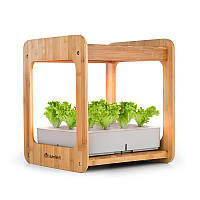 Urban Bamboo Indoor Garden 12 растений 24W LED 7 литров бамбук (Германия, читать описание)