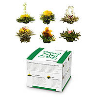 Чайные цветы 6 разных видов в индивидуальной упаковке очень продуктивный зеленый чай (Германия, читать