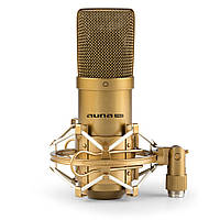 MIC-900G USB конденсаторный кардиоидный студийный микрофон золото золото | золото (Германия, читать описание)