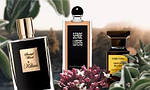 Serge Lutens Santal Majuscule парфумована вода 50 ml. (Серж Летенс Верхнє сандал), фото 8