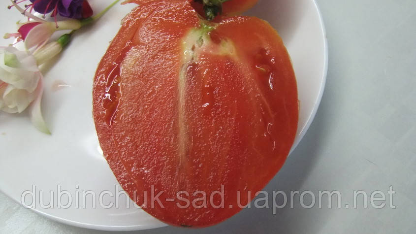 Томат Минусинский Бочковой Отзывы Фото