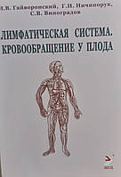 Гайворонский Лимфатическая система. Кровообращение у плода. Учебноке пособие 2021 год