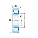Підшипник NJ-305 Kinex (42305) розміри: 25*62*17 роликовий циліндричний, фото 2