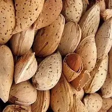 Саджанці мигдалю