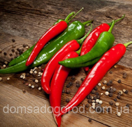 Перець гострий ХОТСТАР F1 / HOTSTAR F1 Enza Zaden 500 насінин