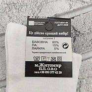 Шкарпетки жіночі спортивні високі весна/осінь р.36-41 білі зі смужками ЖИТОМИР СТИЛЬ 1090546902, фото 10