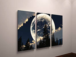 Фотокартина модульна місяць нічне небо пейзаж 90х60