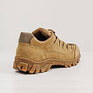 Кросівки Тактичні Демісезонні, Тактичне взуття Альфа Койот, фото 4