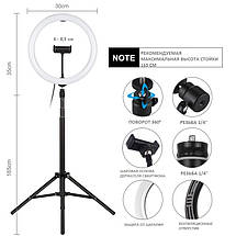 Кольцеве світло Puz PKT3061B Ring Light 30см (25W), фото 4