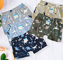 Труси боксери хлопкові для хлопчика 5 штук в упаковці  Розмір 80-86 92-98 104-110 116-122