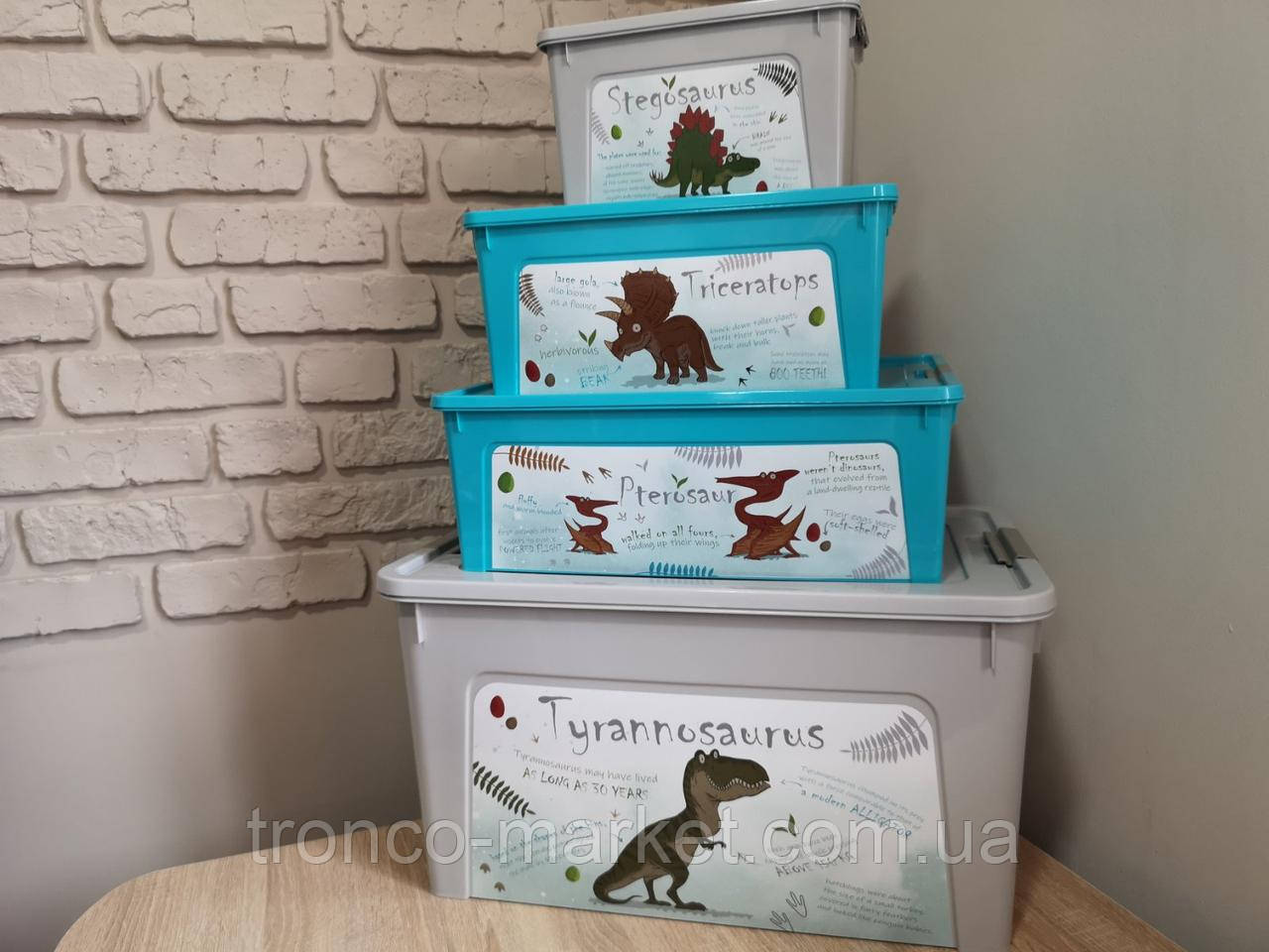 Комплект контейнерів "Smart Box" Алеана з декором Dino _ Динозаври 4 шт