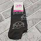 Шкарпетки жіночі короткі весна/осінь р.23-25 "КОТИК-мордочка" асорті Добра Пара лайкра 20020026, фото 4