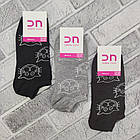 Шкарпетки жіночі короткі весна/осінь р.23-25 "КОТИК-мордочка" асорті Добра Пара лайкра 20020026, фото 2