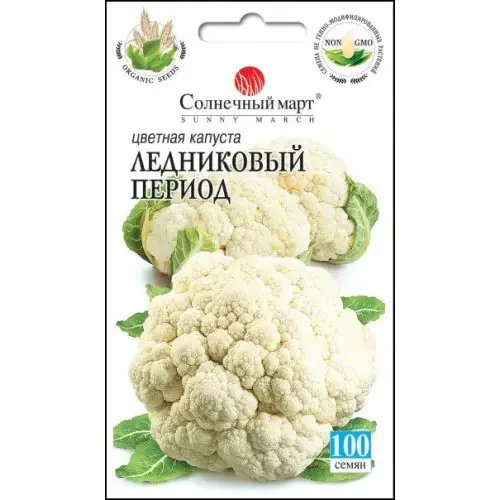 Насіння капусти Льодовиковий період 100шт ТМ СОНЯЧНИЙ БЕРЕЗЕНЬ